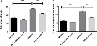 Metformin Attenuates Renal Fibrosis in a Mouse Model of Adenine-Induced Renal Injury Through Inhibiting TGF-β1 Signaling Pathways